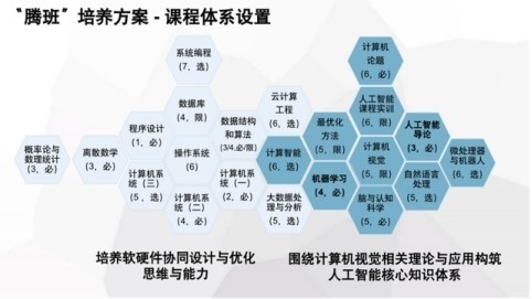 從象牙塔到鵝場 00后開發(fā)者如何用AI技術(shù)讓鵝群存活率飆升30%